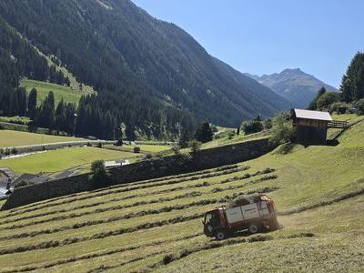 Sommerwiese in Ischgl